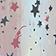 Shooting Star