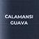 Calamansi Guava