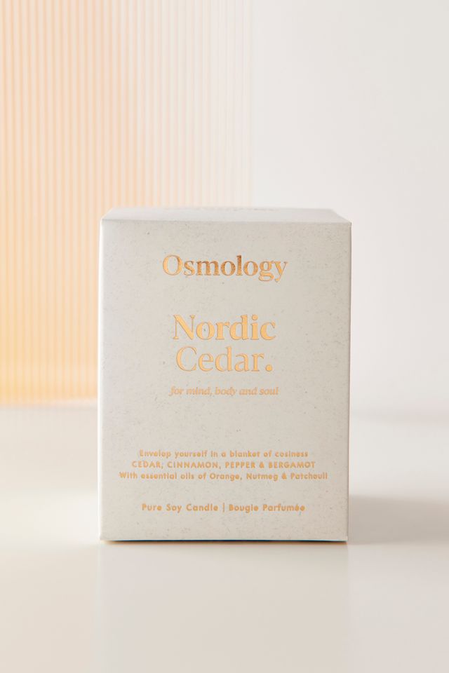 Bougie parfumée Osmology Fernweh 10 oz #3