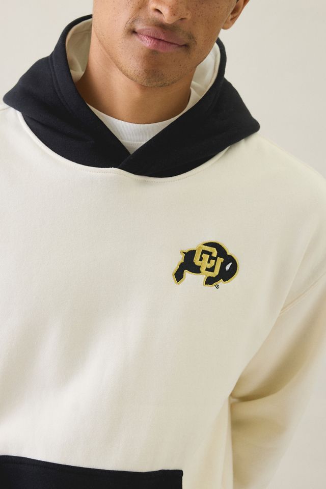 College Logo Graphic Colorblock Hoodie Sweatshirt #3