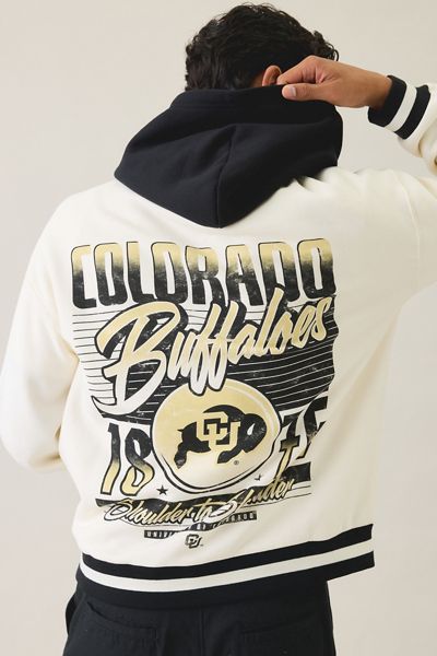 College Logo Graphic Colorblock Hoodie Sweatshirt