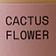 Cactus Flower