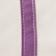 Mauve Reg