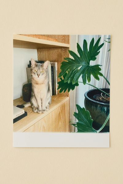 Polaroid Hi-Print 3x3 Film 3-Pack