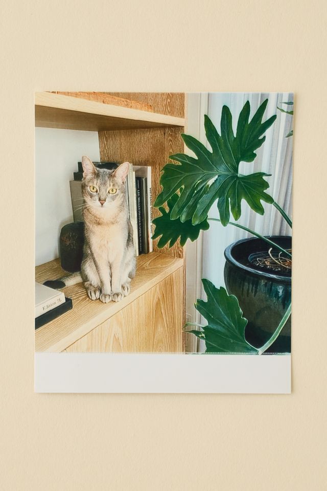Polaroid Hi-Print 3x3 Film 3-Pack #1
