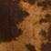 Brun