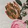 Layered Roses