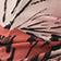 Blush Butterfly