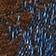 Flocked Jacquard Paisley