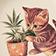 High Maintenance Kitty