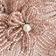 Pink Flower