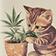 High Maintenance Kitty