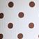 Brown Polka Dot