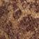 Brown Multi