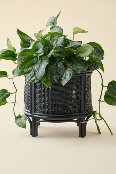 Urban Outfitters Rattan Planter Stand - Thumbnail 2