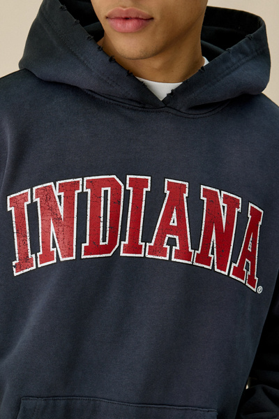 Dark Horse College Logo Graphic Distressed Hoodie Sweatshirt