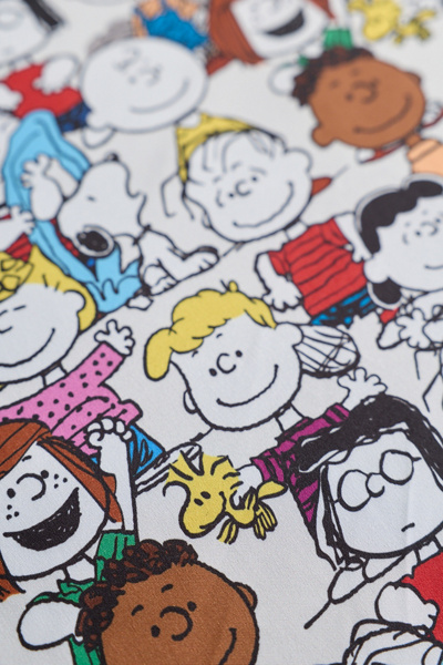Peanuts Classic Pals Reversible Bedding Set