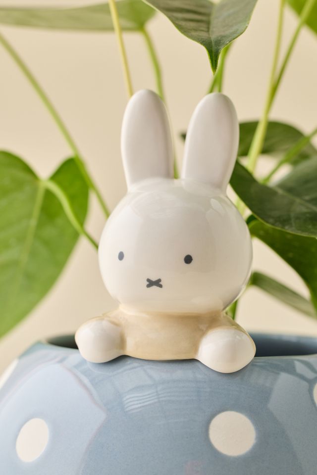 Miffy Peek-A-Bloom Blue Ceramic Planter #2