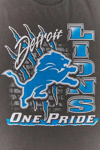 NFL Detroit Lions Graphic Heavyweight Tee