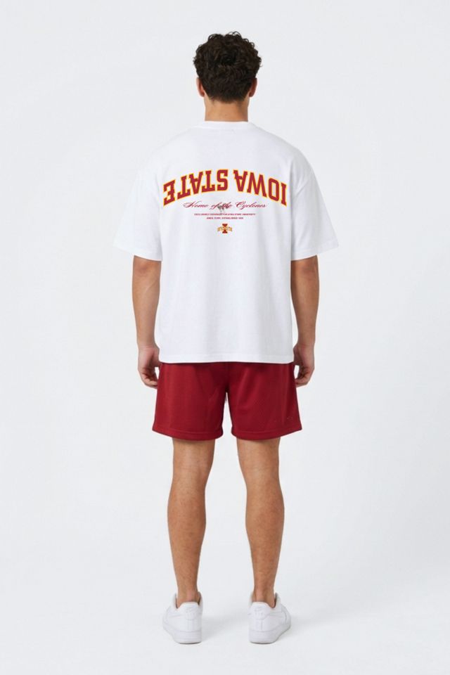 Upside Iowa State Cyclones Oversized Tee #1