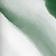 Étoile verte et blanche