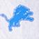 Detroit Lions