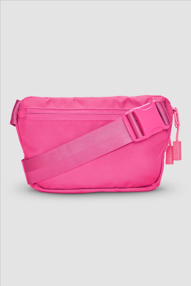 Baboon to the Moon Primary Fannypack (3L) #2
