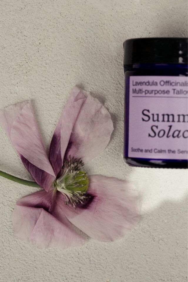 Summer Solace Tallow Lavendula Balm #3
