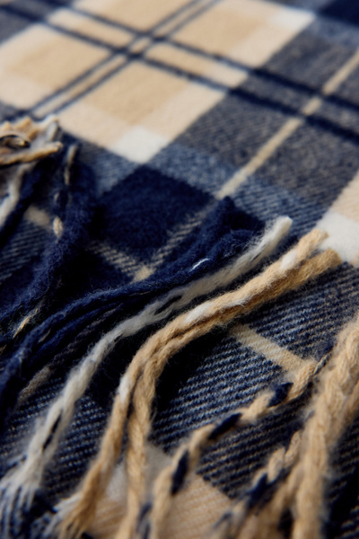 Plaid Fringed Scarf