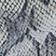 Snakeskin