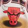 Chicago Bulls