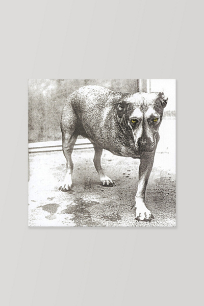 Alice in Chains - Alice In Chains  LP