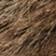 Multi brun