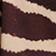 Brown Zebra