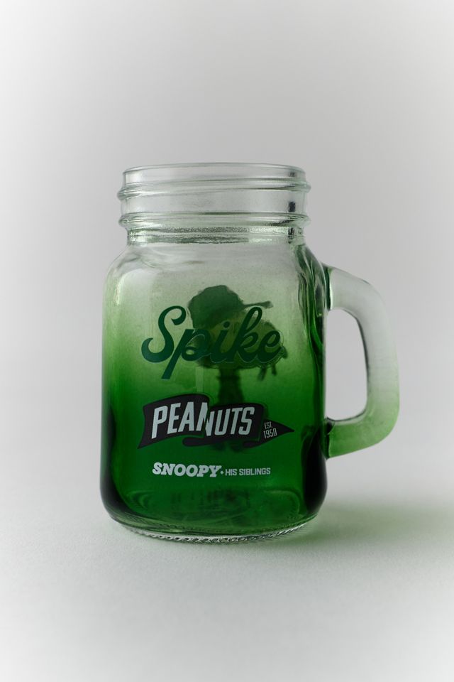 Whatever! Makes You Happy X Peanuts & Siblings Blind Box Mini Mason Jar #2