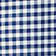 Blue + White Gingham