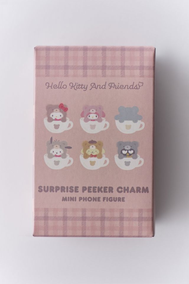 Sonix X Sanrio Hello Kitty & Friends Latte Bear Peeker Flocked Blind Box Figure #4