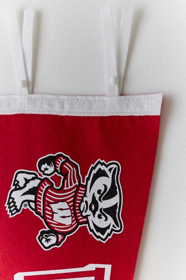 Collegiate Pennant Flag Wall Hanging #2
