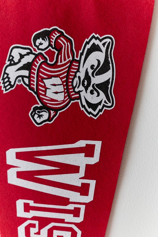 Collegiate Pennant Flag Wall Hanging #3