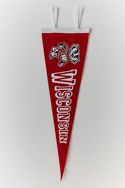Collegiate Pennant Flag Wall Hanging
