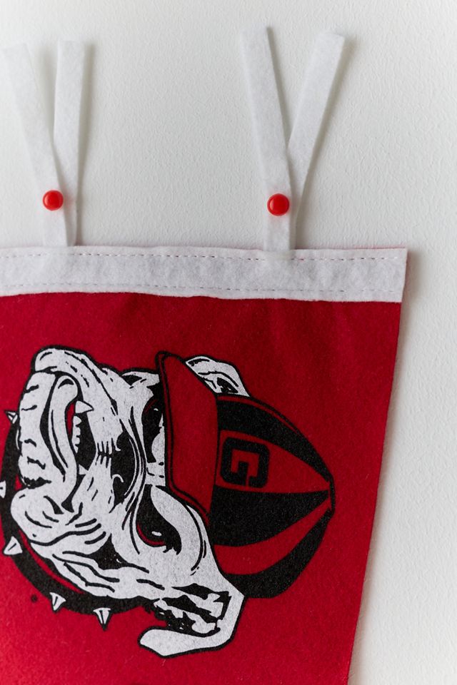 Collegiate Pennant Flag Wall Hanging #1