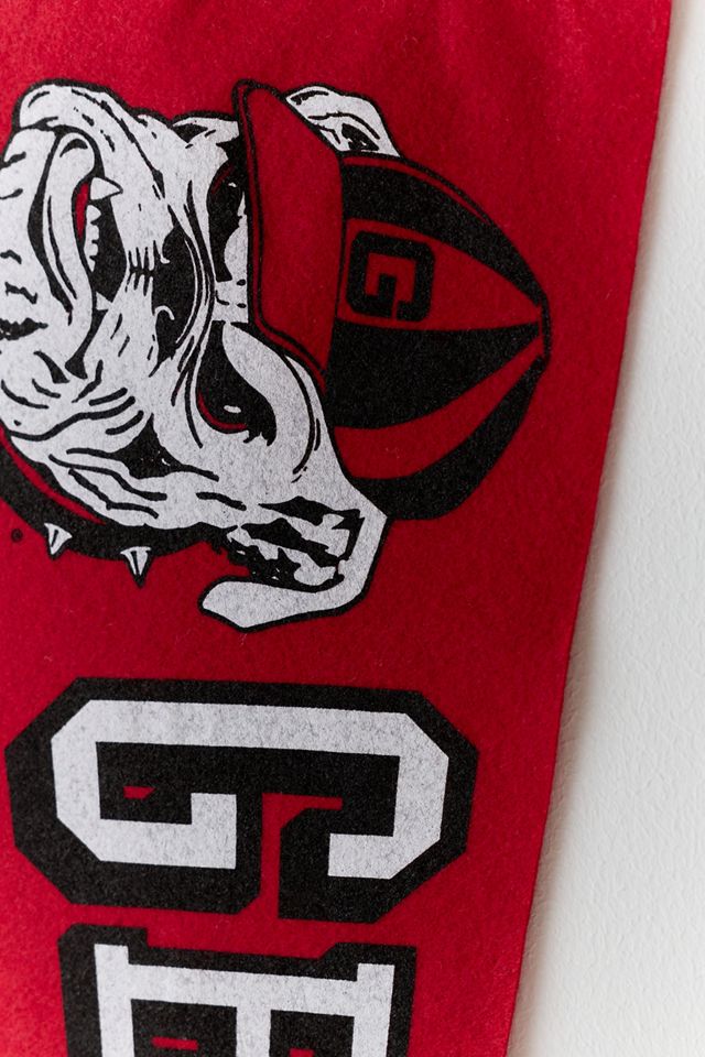 Collegiate Pennant Flag Wall Hanging #2