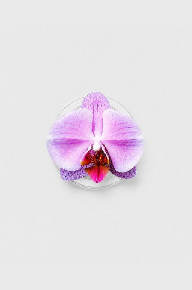 Cordée Cases Orchid Magnetic Phone Grip #1