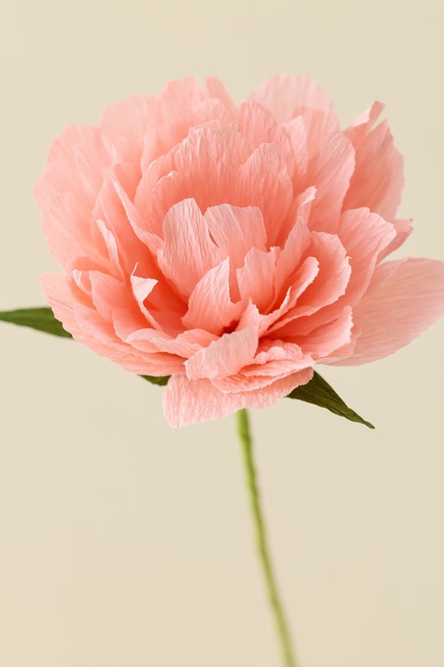 PRINTWORKS Crepe Paper Flower Craft Set #2