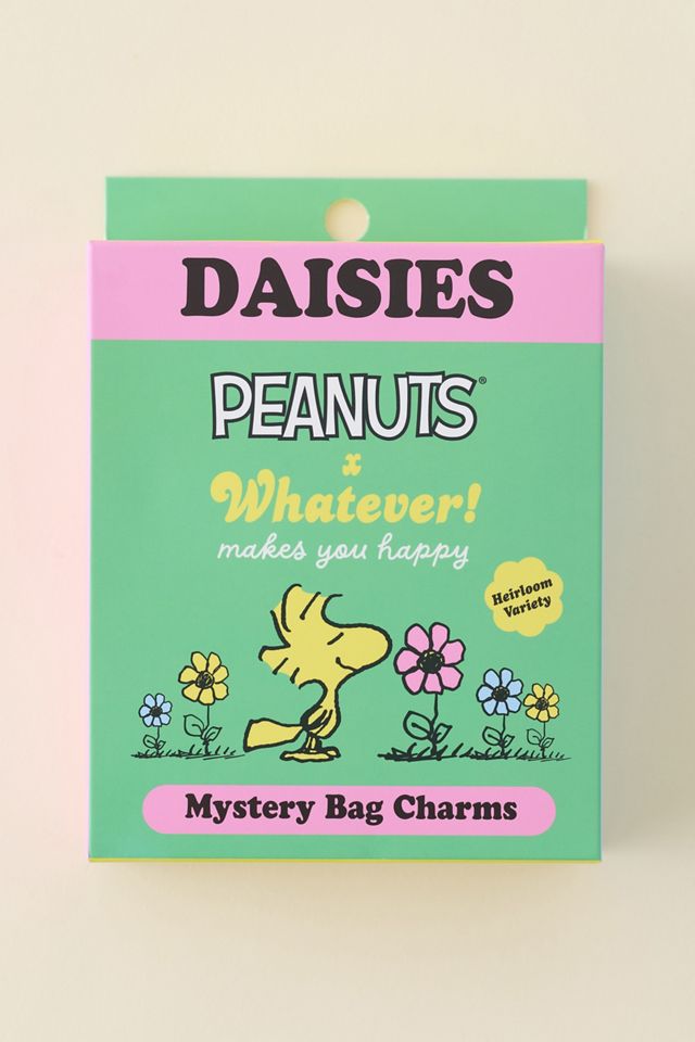 Whatever! Makes You Happy X Peanuts Sherbet Spring Flowers Blind Box Coin Purse Keychain #5