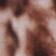 Multi brun