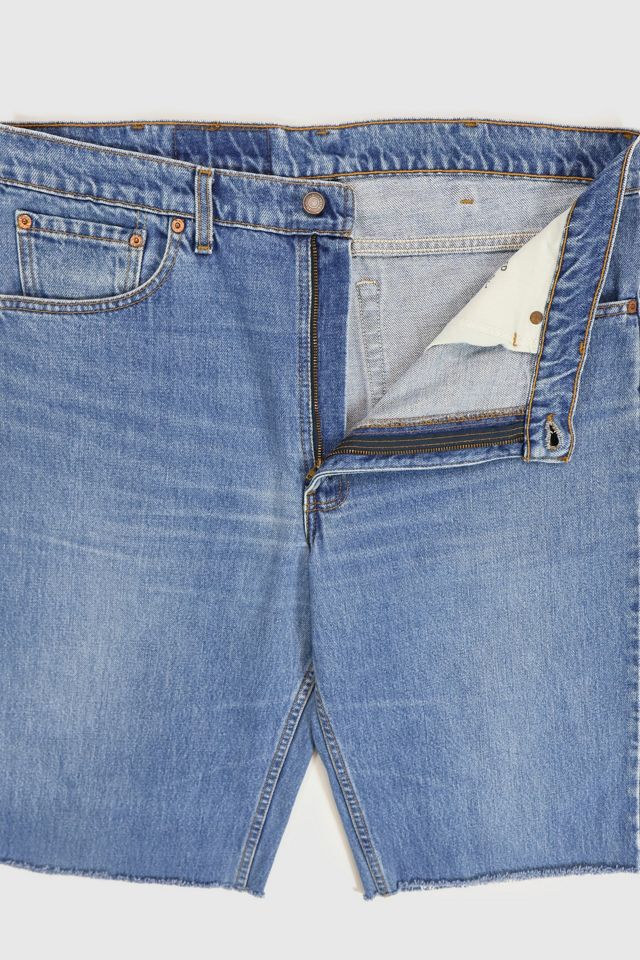 Vintage Levi’s® Relaxed Fit Jorts #2