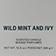 Wild Mint & Ivy