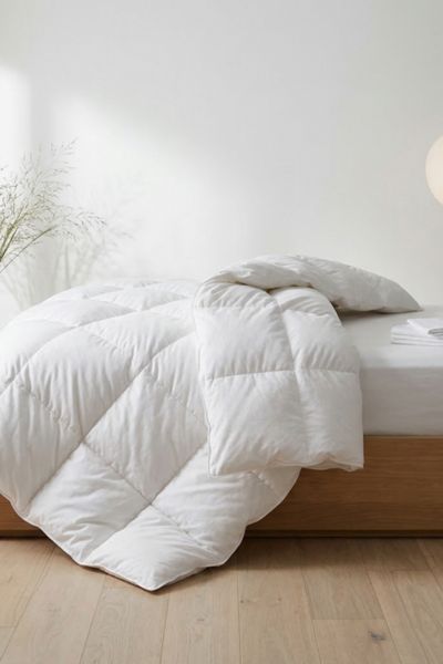 Italic Jason Cloud-Weight Comforter