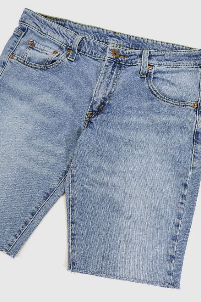 Vintage Y2K Levi's Low Rise Jorts #3